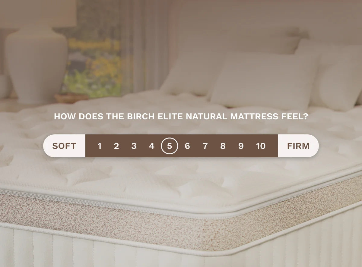Helix Birch Elite Natural Mattress with Organic Cotton Cover