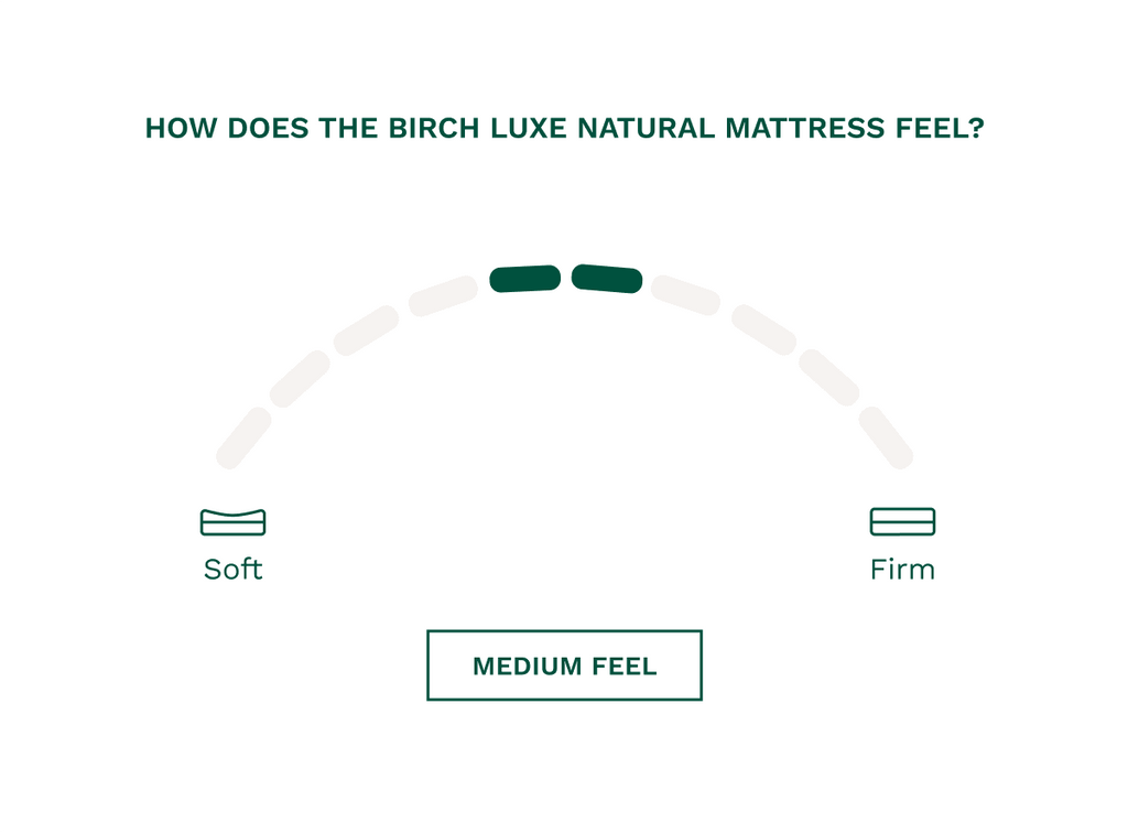 Helix Birch Luxe Natural with Organic Cotton Cover