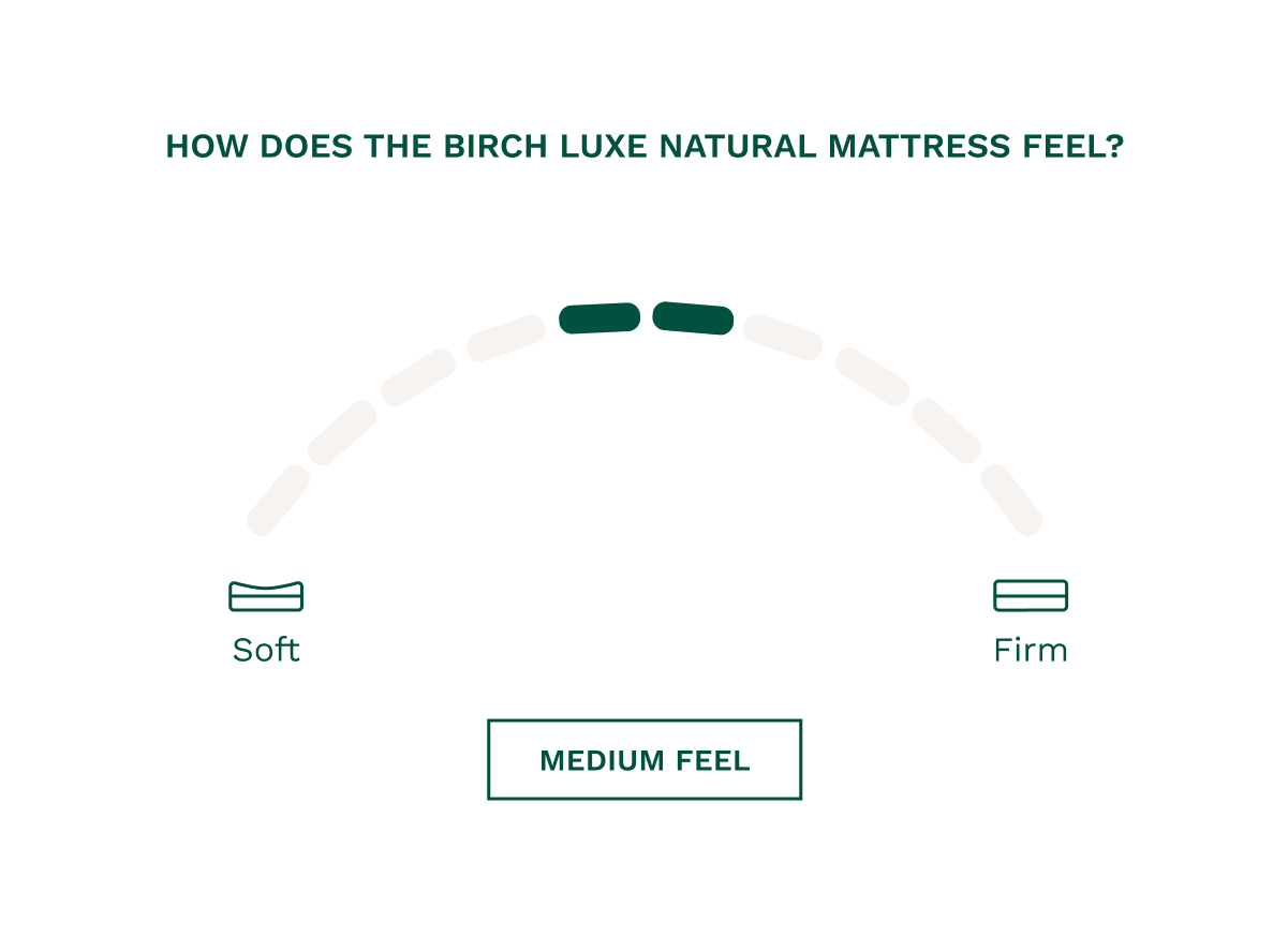 Helix Birch Luxe Natural with Organic Cotton Cover